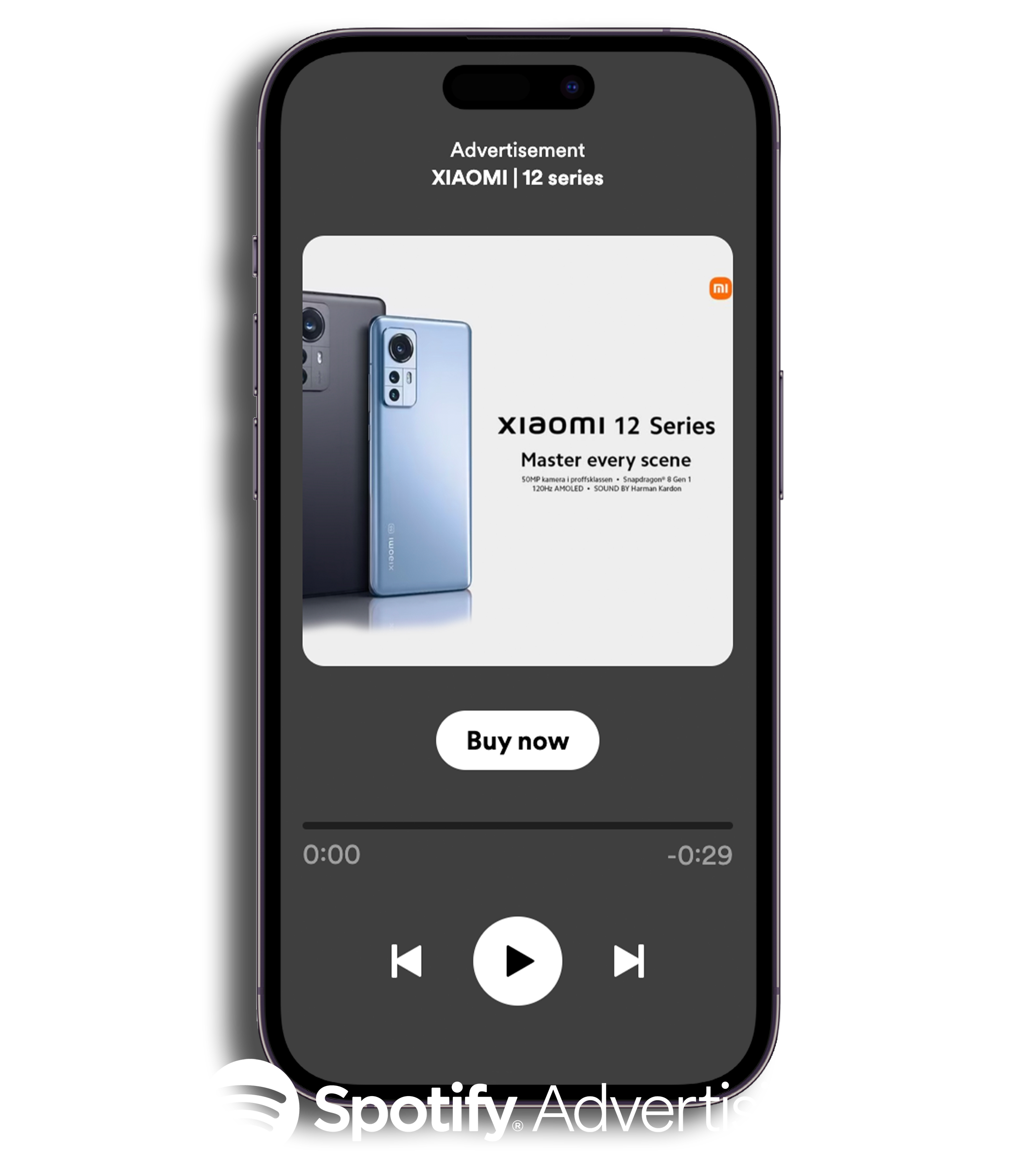 Spotify Ad Preview